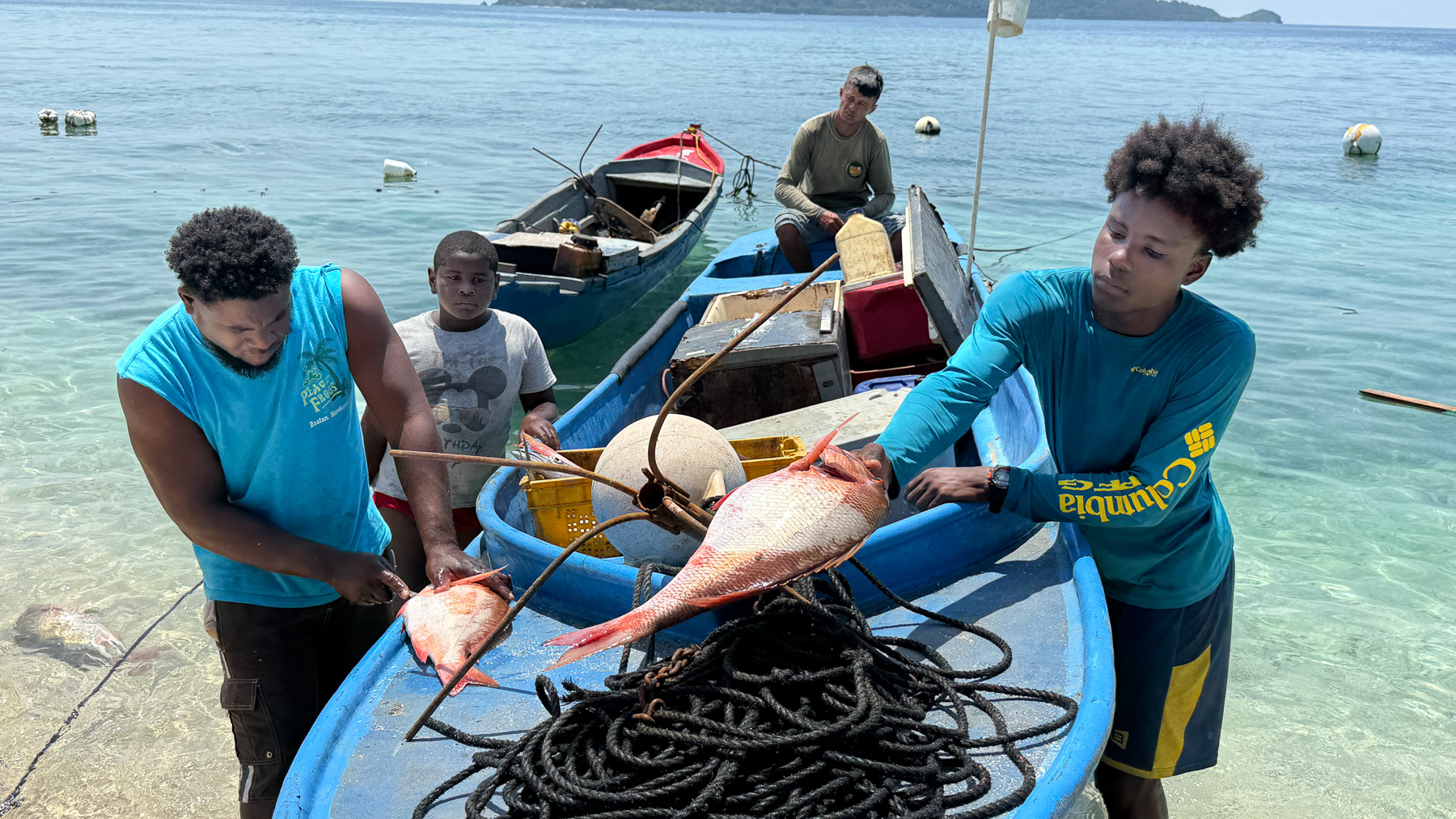 Garifuna-Fischer freuen sich über die Fische, die sie auf traditionelle Weise mit ihren Handfangleinen aus dem Meer geholt haben. Die Red Snapper werden direkt ausgenommen.