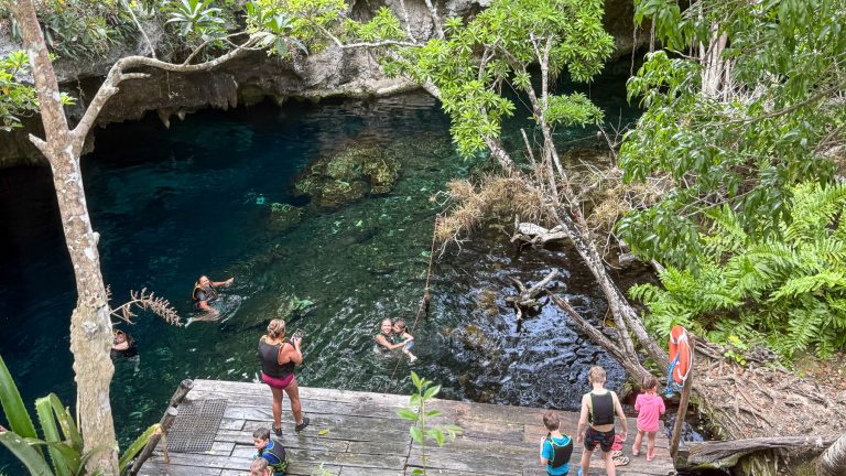 We're swimming in the Gran Cenote in Tulum.