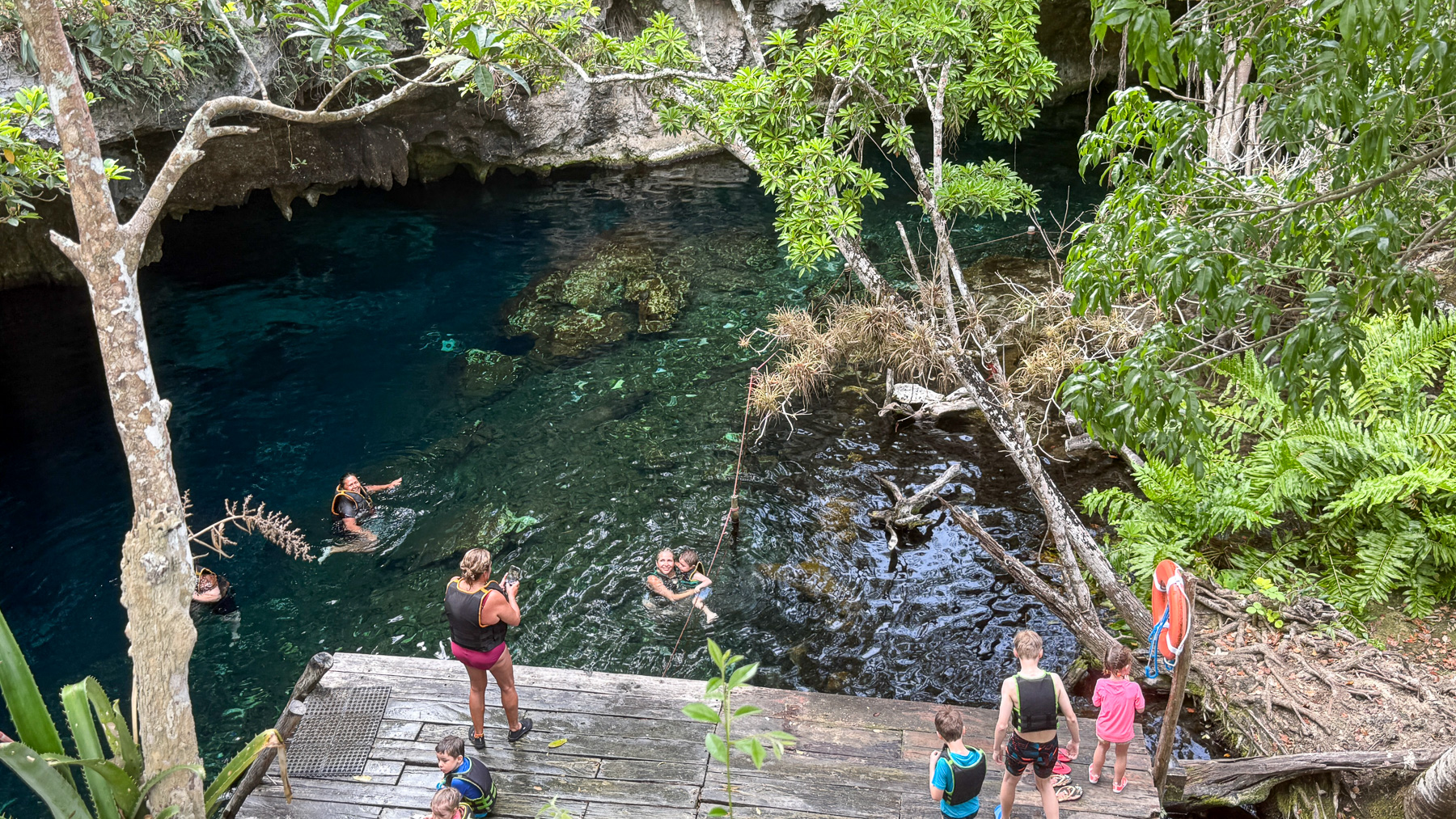 We're swimming in the Gran Cenote in Tulum.