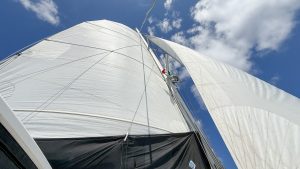 Gegen den Strom nach Utila