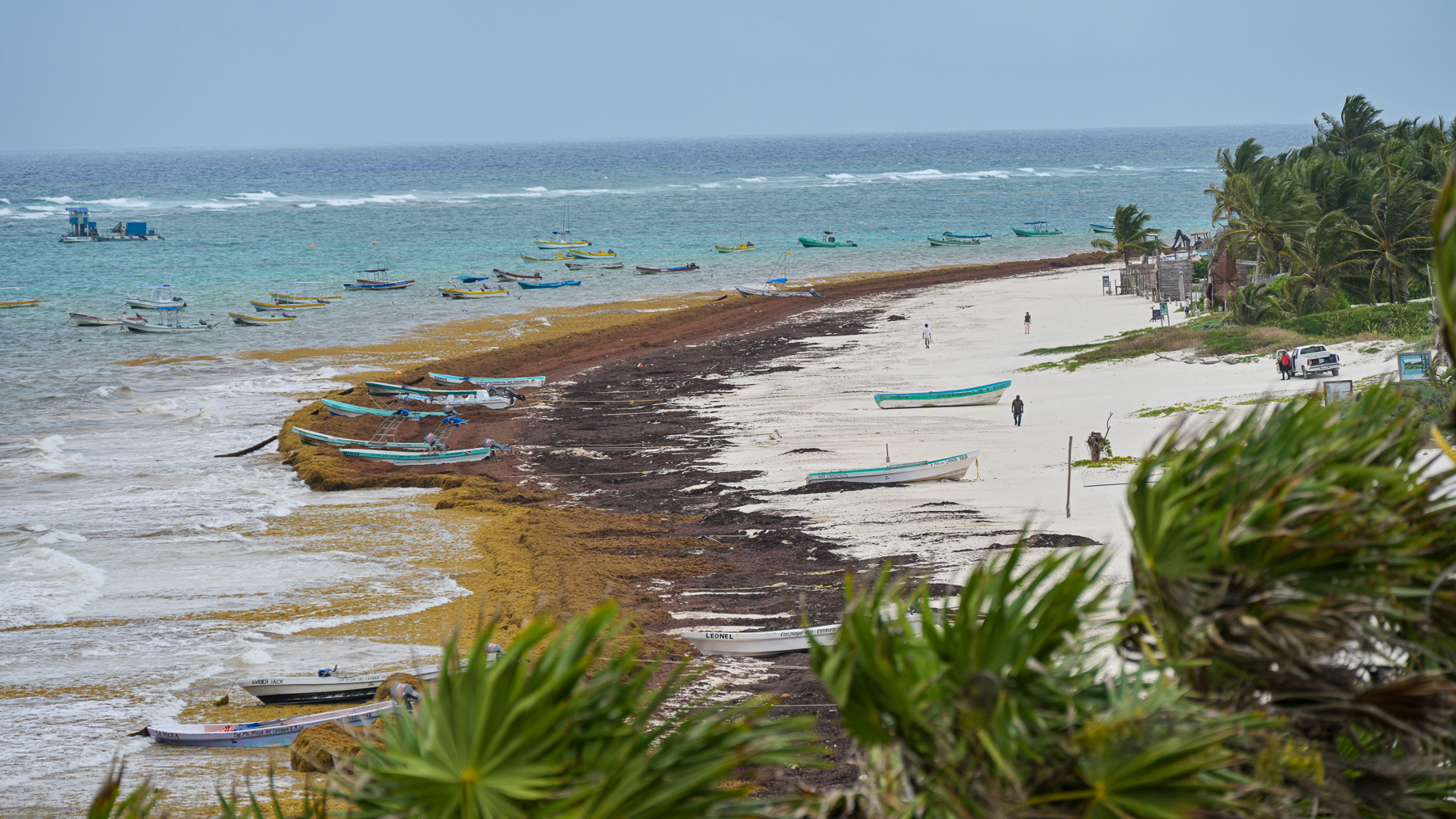 View of the ocean from the Mayan ruins: boats in the water, on the sand, and on the Sargassum