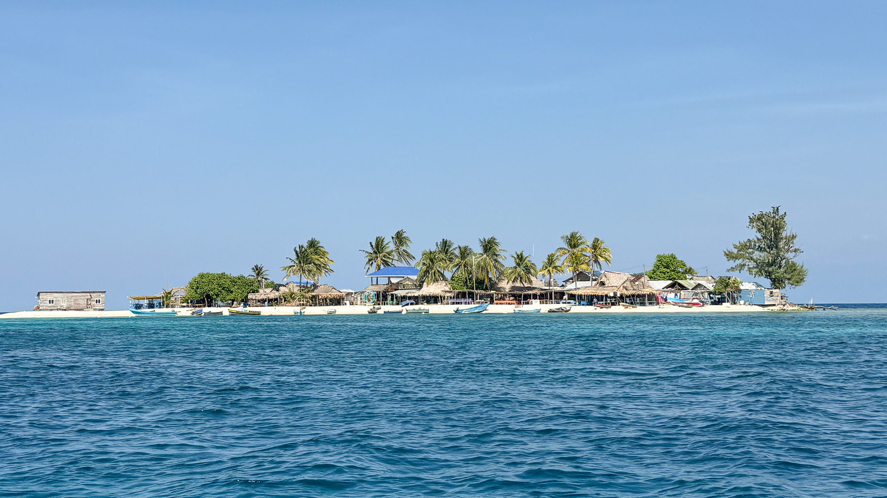 Chachahuate auf den Cayos Cochinos, Honduras