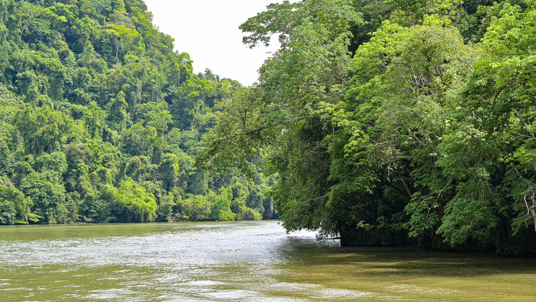 Fahrt durch den Rio Dulce, Guatemala.