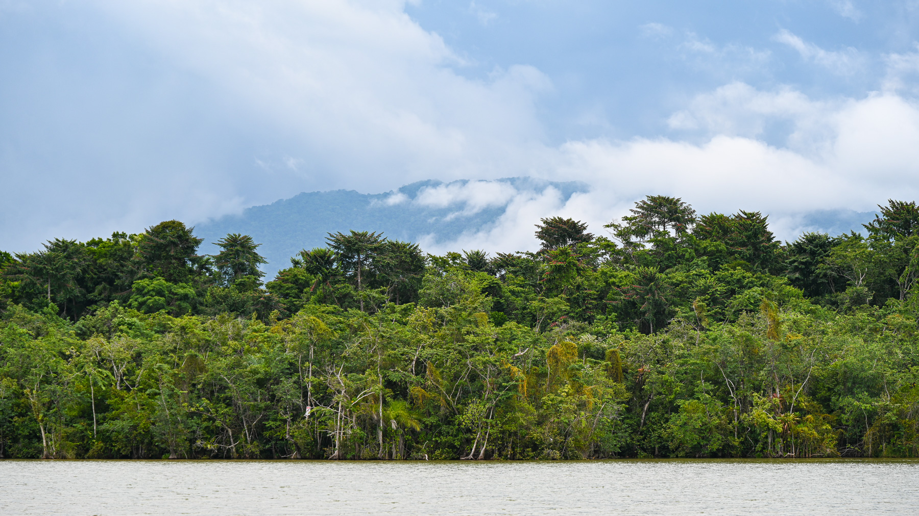 Fahrt durch den Rio Dulce, Guatemala.