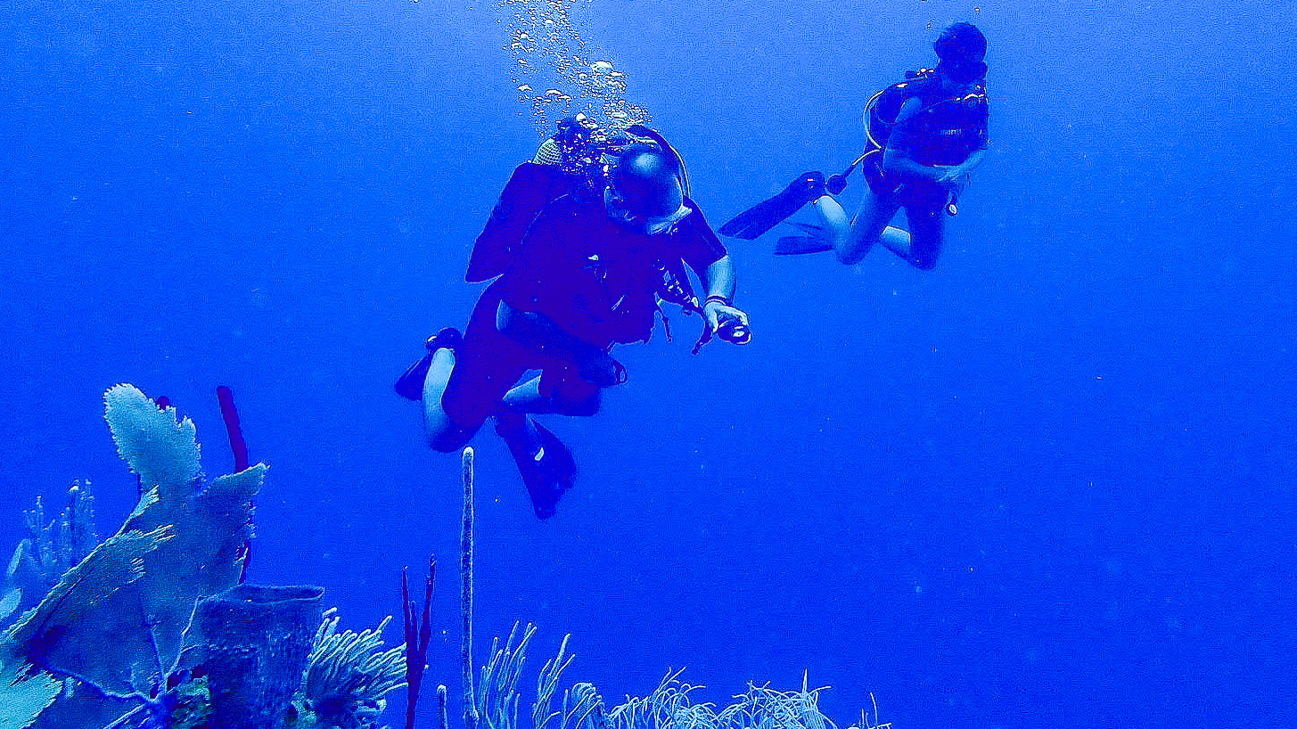 Buceo en Utila